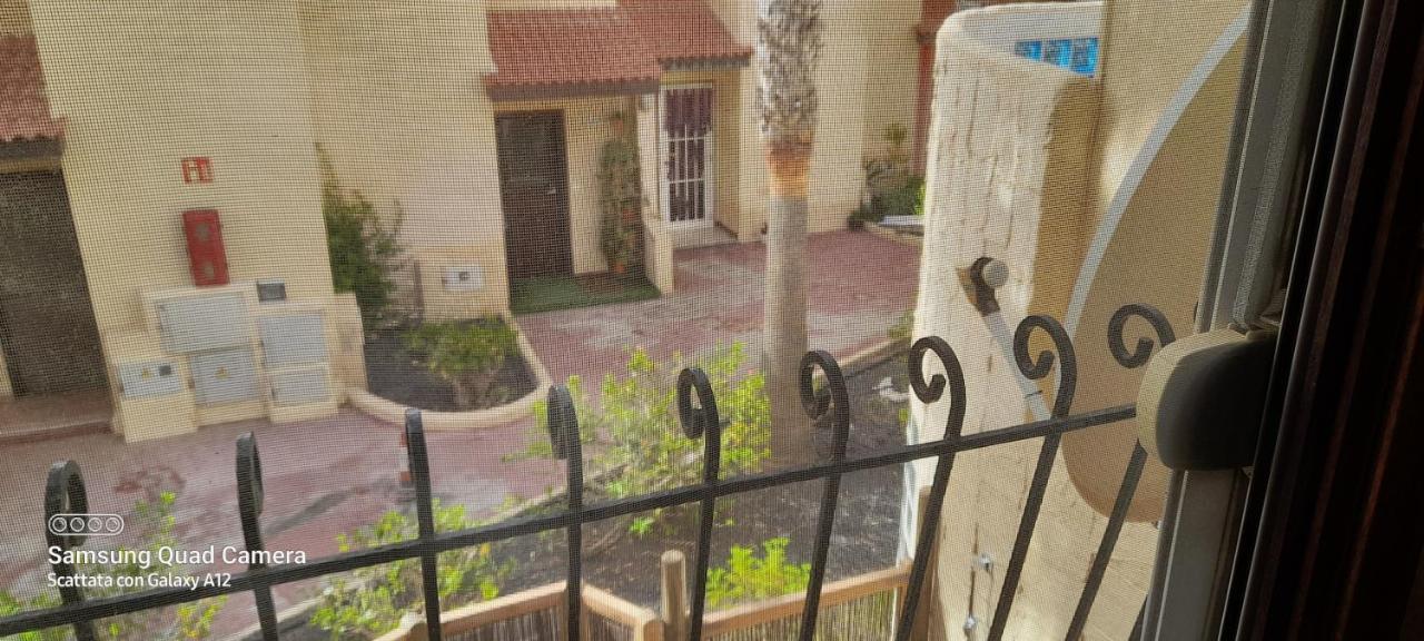 Surf & Chill Bungalow 69, Quiet Green Oasis With Community Swimmingpool Parque Holandes Εξωτερικό φωτογραφία