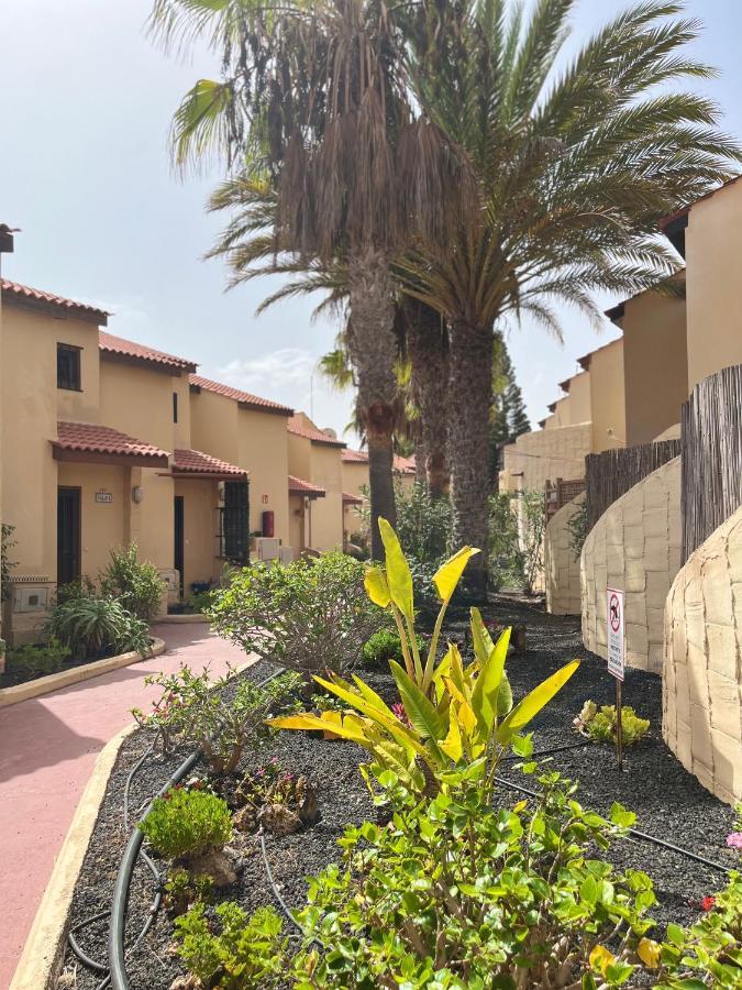 Surf & Chill Bungalow 69, Quiet Green Oasis With Community Swimmingpool Parque Holandes Εξωτερικό φωτογραφία