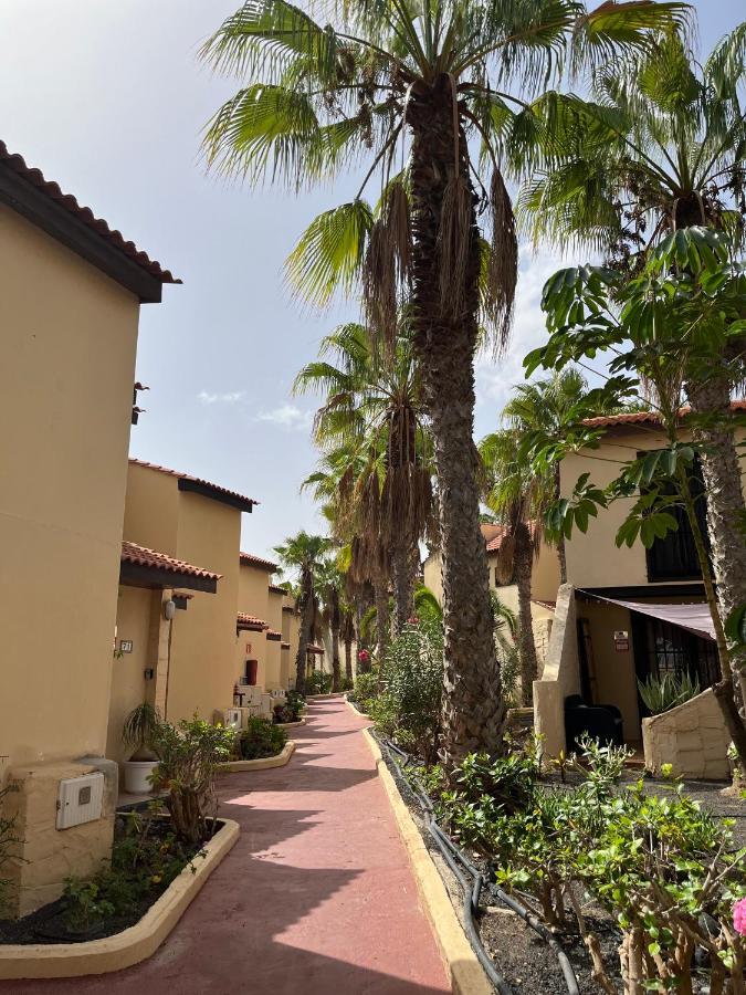Surf & Chill Bungalow 69, Quiet Green Oasis With Community Swimmingpool Parque Holandes Εξωτερικό φωτογραφία