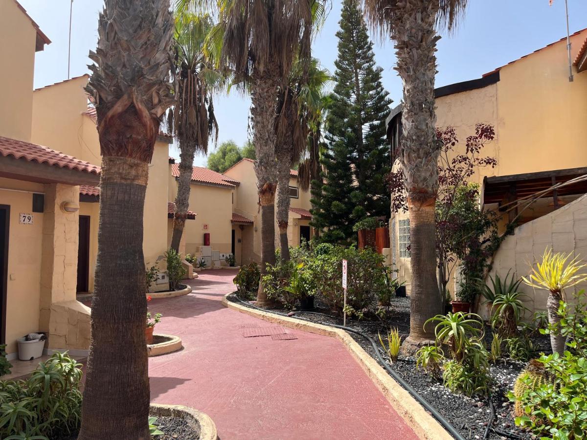 Surf & Chill Bungalow 69, Quiet Green Oasis With Community Swimmingpool Parque Holandes Εξωτερικό φωτογραφία