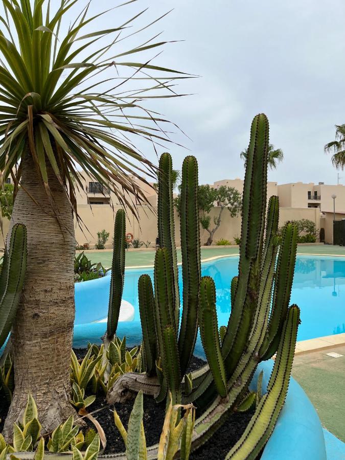 Surf & Chill Bungalow 69, Quiet Green Oasis With Community Swimmingpool Parque Holandes Εξωτερικό φωτογραφία