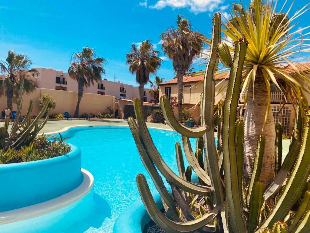Surf & Chill Bungalow 69, Quiet Green Oasis With Community Swimmingpool Parque Holandes Εξωτερικό φωτογραφία