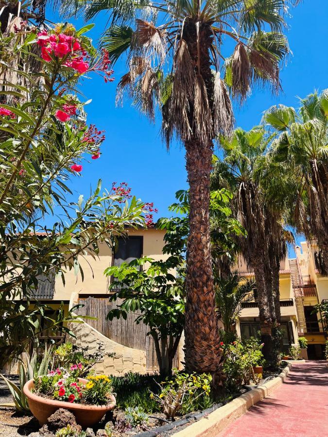 Surf & Chill Bungalow 69, Quiet Green Oasis With Community Swimmingpool Parque Holandes Εξωτερικό φωτογραφία